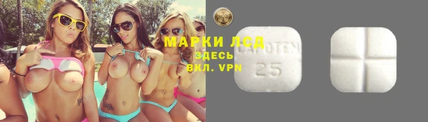 индика Балахна