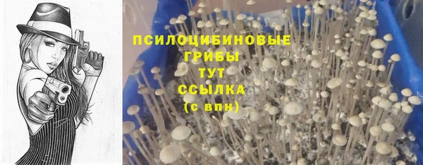 скорость Белокуриха