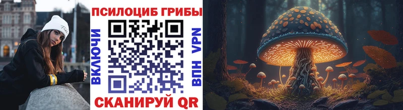Псилоцибиновые грибы GOLDEN TEACHER  Закаменск 